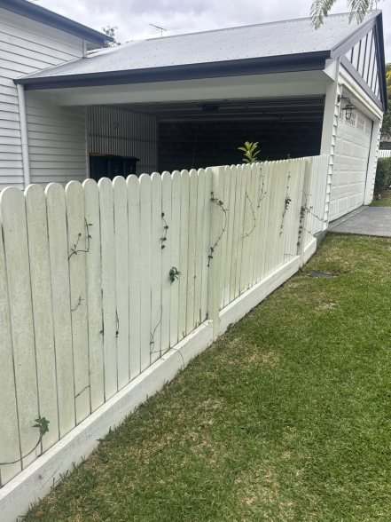 Before exterior cleaning in Brisbane