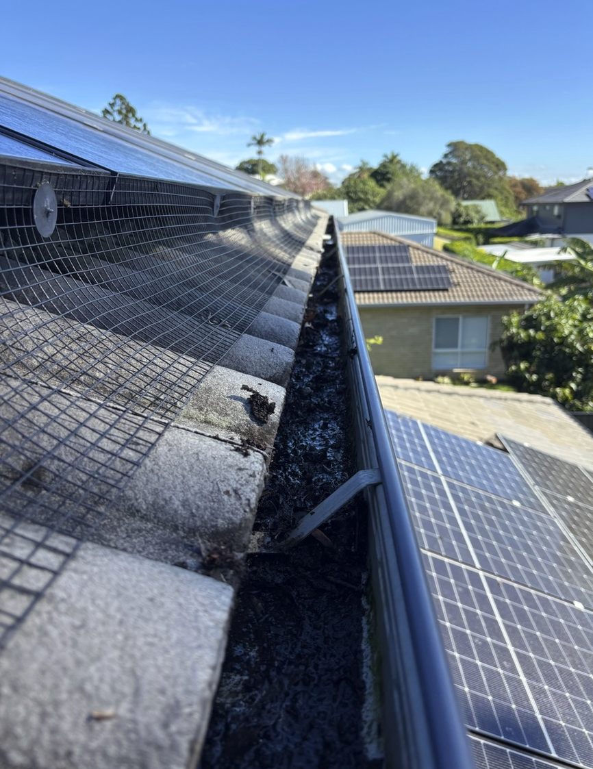Blocked gutter full of debris before cleaning in Brisbane